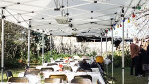 Read more about the article What Is the Best Material for a Pop-Up Tent?