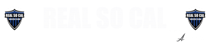 Asset 1@3x