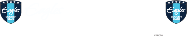 Asset 4