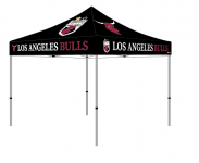 la bulls 3d 10x10
